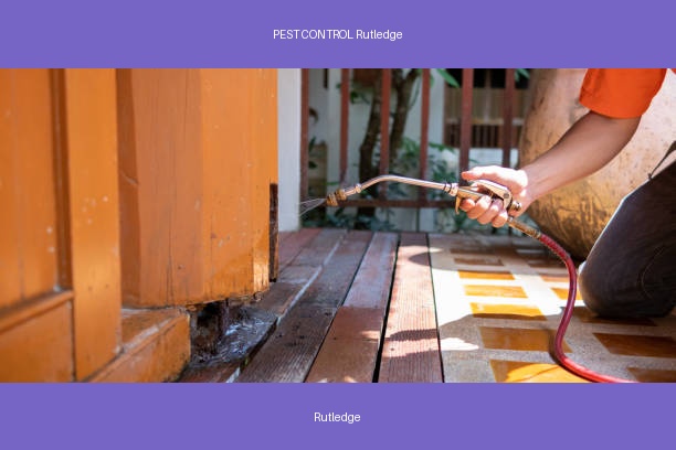 PEST CONTROL Rutledge